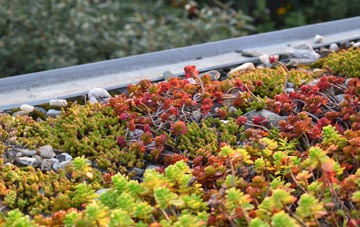 the cost of Arclid green roof installation