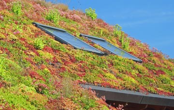 Arclid living roof systems