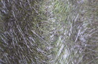 Arclid fibreglass roof work