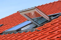 Arclid roof window